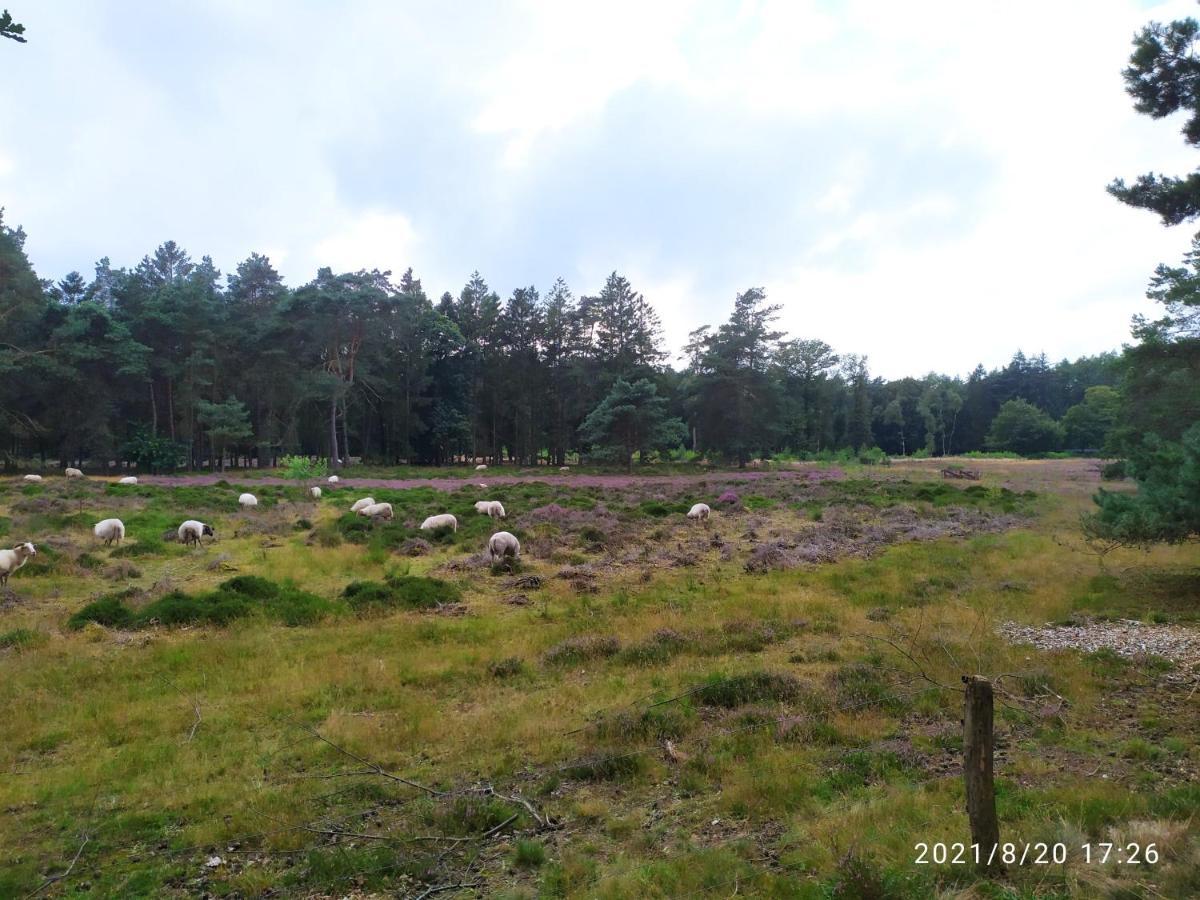 Apartmán Oeroeboeroe Roderesch Exteriér fotografie